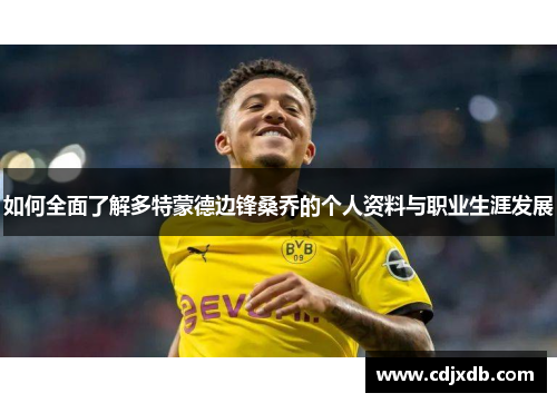 如何全面了解多特蒙德边锋桑乔的个人资料与职业生涯发展