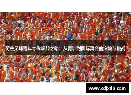 荷兰足球青年才俊崛起之路:从青训到国际舞台的突破与挑战