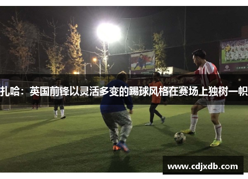 扎哈：英国前锋以灵活多变的踢球风格在赛场上独树一帜